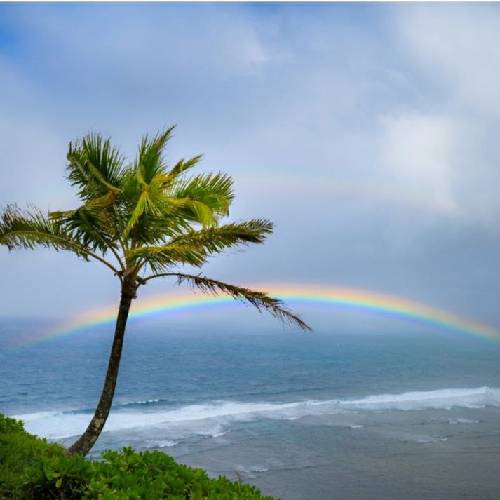 علی خلج از وقتی که دیونت شدم این خندهام یهو قطع شدن